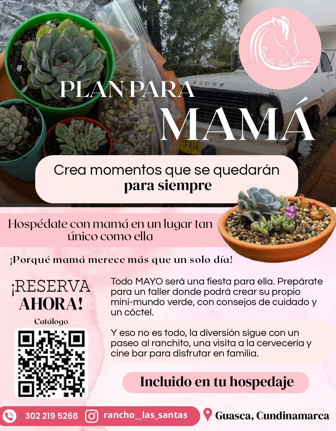 PAUTAS V 3 imagen