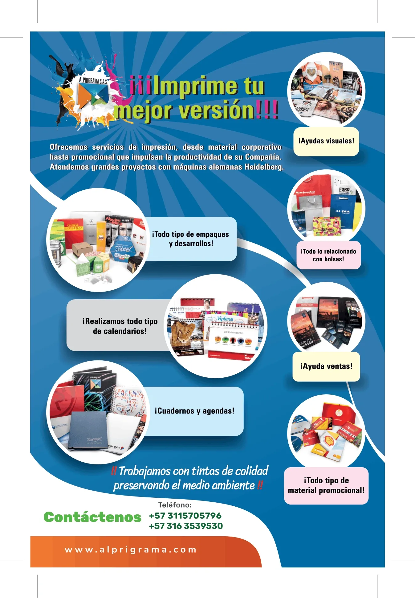 PAUTAS V 4 imagen